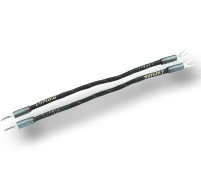 Lumina X