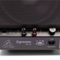 Martin Logan Expression ESL 13A. Kolumna podłogowa. - 8