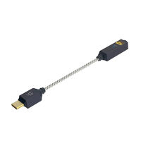 iFi Audio GO link 2. Wzmacniacz słuchawkowy z DAC. - 2