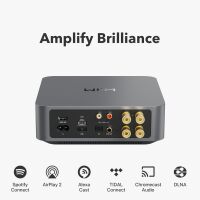 WiiM AMP (ciemnoszary). Sieciowy wzmacniacz stereo. - 2