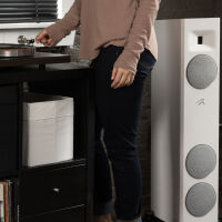 Martin Logan Motion F10 (biały). Kolumna podłogowa. - 13