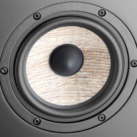 Focal Aria SR 900 (czarny lakier). Kolumna surround. - 6