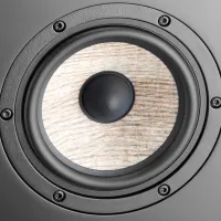 Focal Aria SR 900 (czarny lakier). Kolumna surround. - 6
