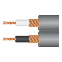Wireworld I-World Audio Cable. Przewód Mini Jack-2xRCA (1.5m). - 2