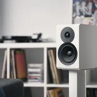 Dynaudio Emit 20 (biały). Kolumny podstawkowe. - 7