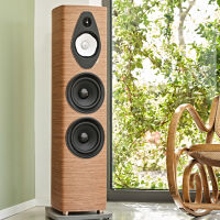 Sonus faber Sonetto V G2 (walnut). Kolumny podłogowe. - 9