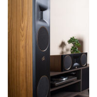Martin Logan Motion XT C100 (biały). Kolumna centralna. - 9