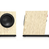 Pylon Audio Diamond Sub (okleina naturalna). Subwoofer aktywny. - 10