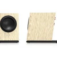 Pylon Audio Diamond Sub (okleina naturalna). Subwoofer aktywny. - 10