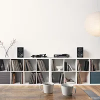 Dynaudio Emit 20 (orzech). Kolumny podstawkowe. - 6