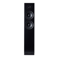 Argon Audio Forus 55 (czarny). Kolumny podłogowe. - 2