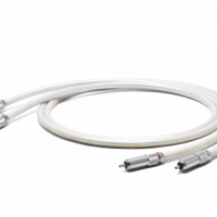 Oyaide TUNAMI TERZO V2 (1.0m). Interkonekt audio 2xRCA. - 2