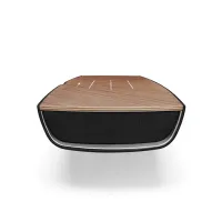Sonus faber Omnia (walnut). System All-in-One. - 3