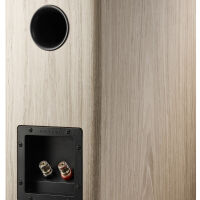 Dynaudio Evoke 20 (blonde). Kolumny podstawkowe. - 5