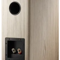 Dynaudio Evoke 20 (blonde). Kolumny podstawkowe. - 5