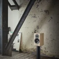 Dynaudio Evoke 10 (blonde). Kolumny podstawkowe. - 7