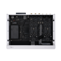 Matrix Audio TS-1. Odtwarzacz sieciowy z DAC / Pre / Wzmacniacz słuchawkowy. - 9
