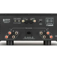 Unison Research Unico DM V2 (czarny). Końcówka mocy. - 4