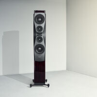 Dynaudio Confidence 60 (smoke). Kolumny podłogowe. - 5