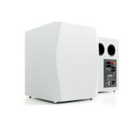 Pylon Audio Sapphire Sub (lakier). Subwoofer aktywny. - 2