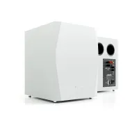 Pylon Audio Sapphire Sub (lakier). Subwoofer aktywny. - 2