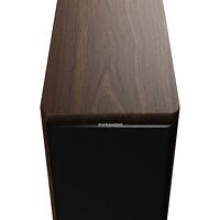 Dynaudio Focus 10 (orzech). Aktywne kolumny podstawkowe - 4
