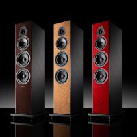 Sonus faber Lumina V Amator (walnut). Kolumny podłogowe. - 6