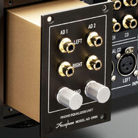 Accuphase AD-2900. Dedykowany moduł phono. - 2