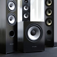 Pylon Audio Pearl Sub (orzech). Subwoofer aktywny. - 5