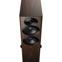 Dynaudio Focus 30 (orzech). Aktywne kolumny podłogowe - 3