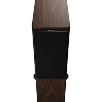 Dynaudio Focus 30 (orzech). Aktywne kolumny podłogowe - 4