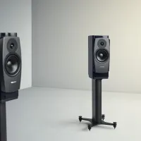 Dynaudio Confidence 20 (blond wood). Kolumny podstawkowe. - 9