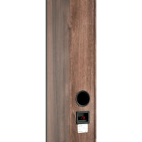 Pylon Audio Opal 23 (orzech). Kolumny podłogowe. - 5