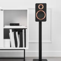 Argon Audio Forte A5 WiFi (czarny). Aktywne kolumny podstawkowe. - 4