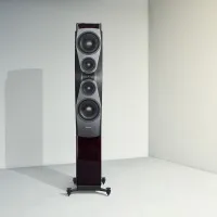 Dynaudio Confidence 60 (ruby). Kolumny podłogowe. - 5
