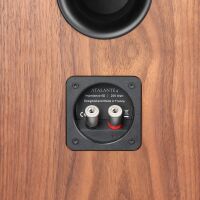 Revival Audio Atalante 4 (walnut). Kolumny podłogowe. - 5