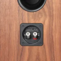 Revival Audio Atalante 4 (walnut). Kolumny podłogowe. - 5