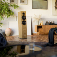 Pylon Audio Diamond 28 mkII (lakier bezbarwny - natural). Kolumny podłogowe. - 4