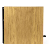 Penaudio Rebel Two Luumaki Edition (oak). Kolumny podstawkowe. - 4
