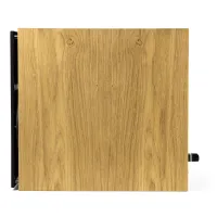 Penaudio Rebel Two Luumaki Edition (oak). Kolumny podstawkowe. - 4