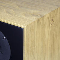 Penaudio Rebel Two Luumaki Edition (oak). Kolumny podstawkowe. - 8