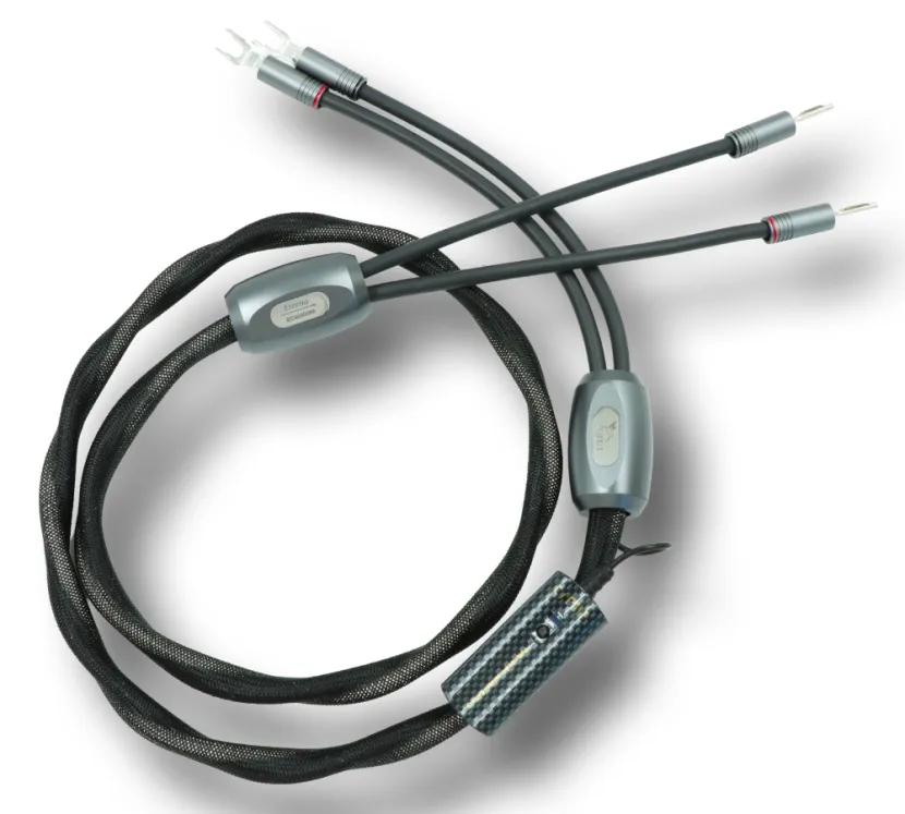 Esprit Eterna X. Przewód głośnikowy z wtykami typu widły (2x4m).