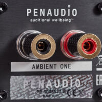 Penaudio Ambient One (czarny). Kolumny podstawkowe. - 3