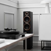 Argon Audio Fenris A55 (czarny). Aktywne kolumny podłogowe. - 5