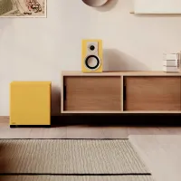 Dali Basik Sub (żółty). Subwoofer aktywny. - 5