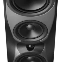 Dynaudio Confidence 50 (blond wood). Kolumny podłogowe. - 2