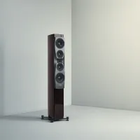 Dynaudio Confidence 50 (blond wood). Kolumny podłogowe. - 7