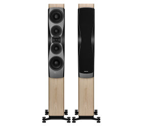 Dynaudio Confidence 50 (blond wood). Kolumny podłogowe.