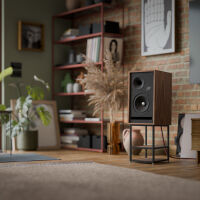 Pylon Audio Jade 10 (okleina naturalna). Kolumny podstawkowe. - 11