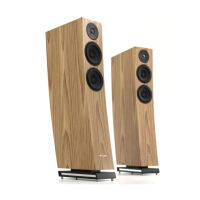 Pylon Audio Jasper 23 (orzech amerykański). Kolumny podłogowe. - 2